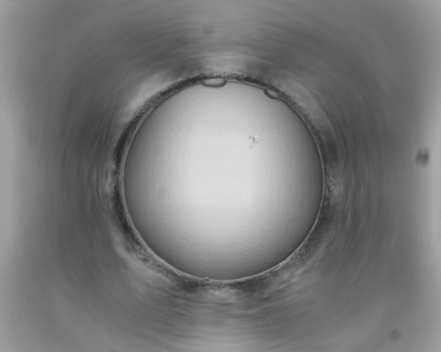 X0000093750583200710231234