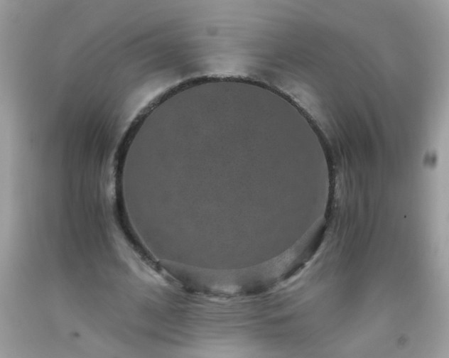 X0000093750584200710231234
