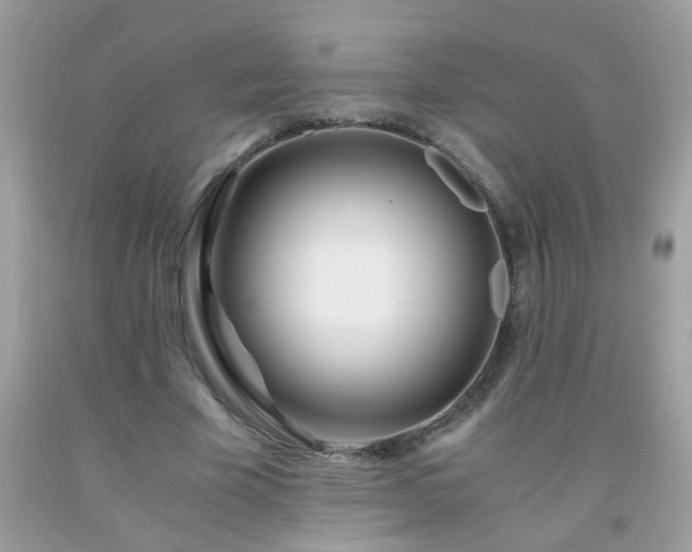 X0000093750585200710231234