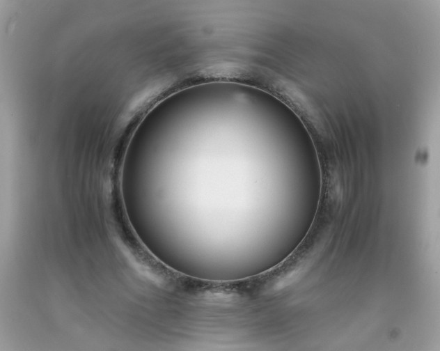 X0000093750586200710231234