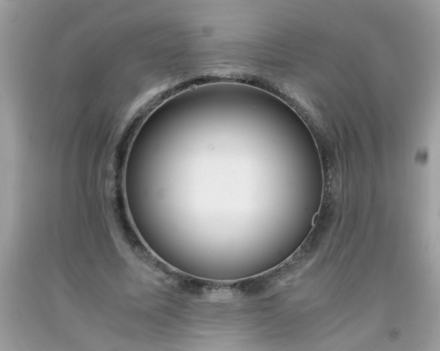 X0000093750587200710231234