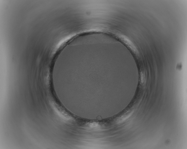 X0000093750588200710231234