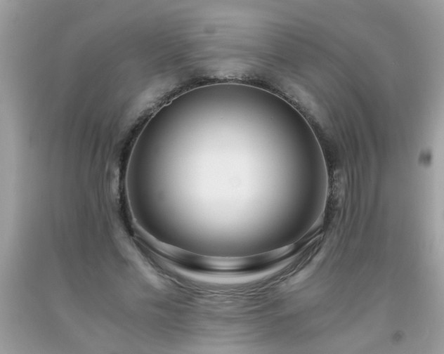 X0000093750589200710231234