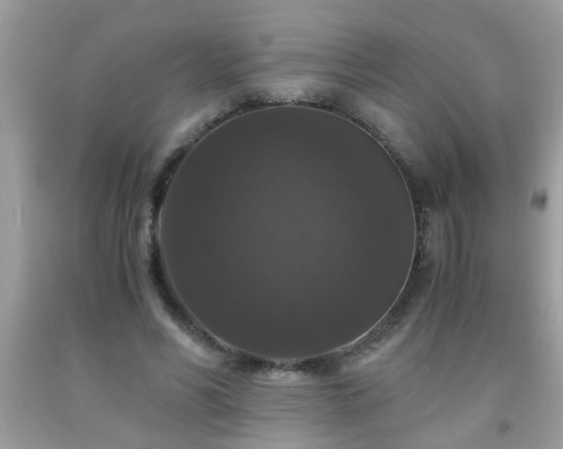 X0000093750590200710231234