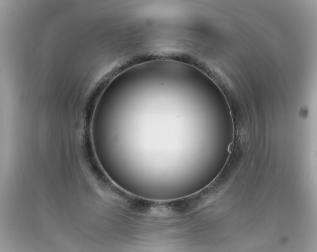 X0000093750591200710231234