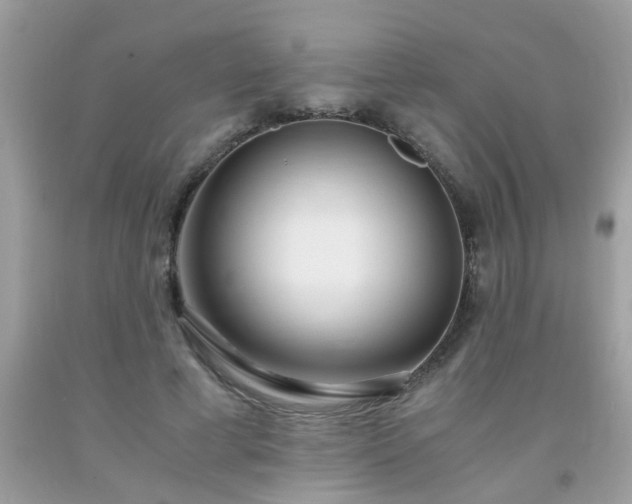 X0000093750593200710231234