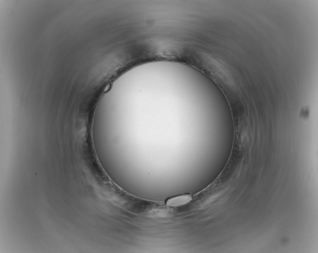 X0000093750595200710231234