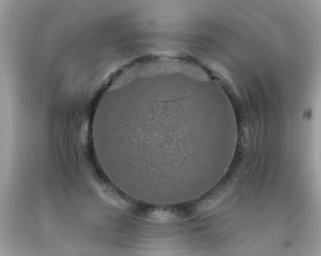 X0000093750596200710231234