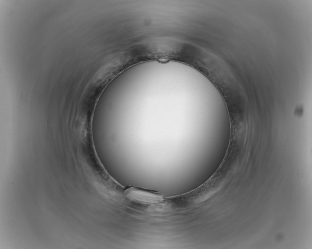X0000093750599200710231234