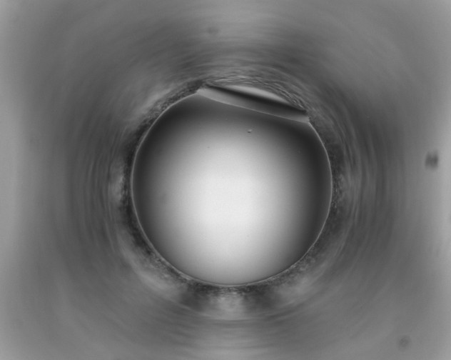 X0000093750600200710231234