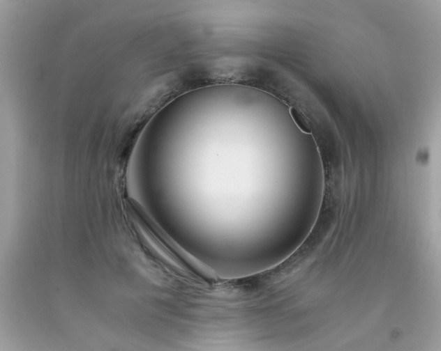 X0000093750601200710231234
