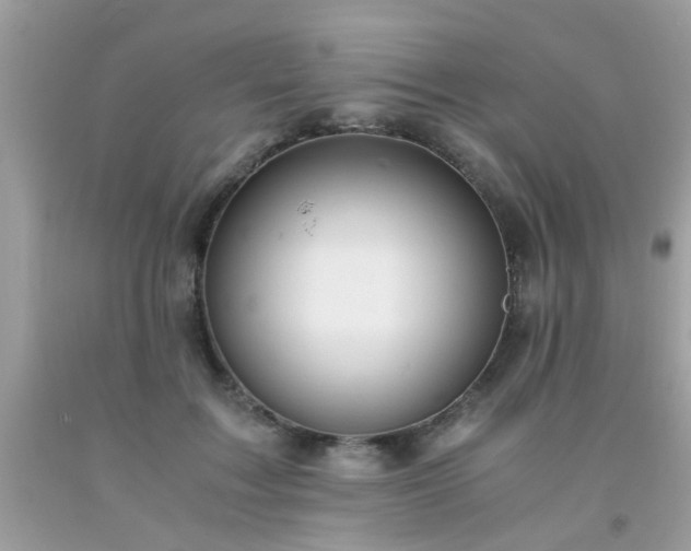 X0000093750603200710231234