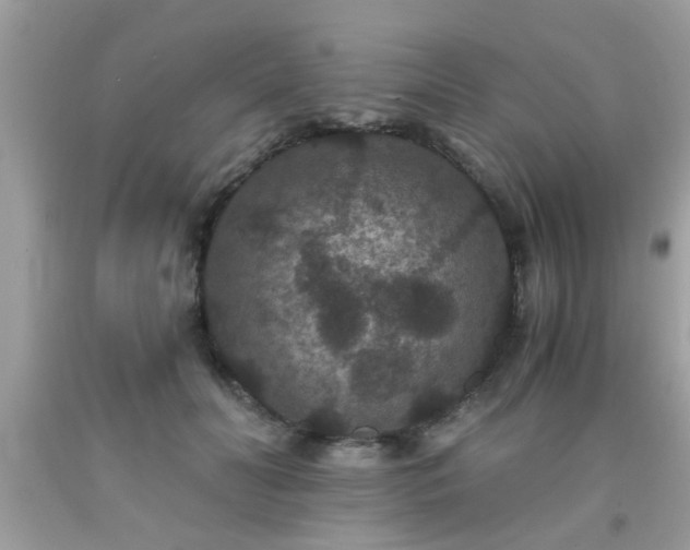 X0000093750606200710231233