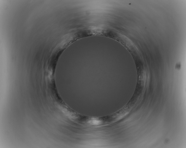X0000093750610200710231233