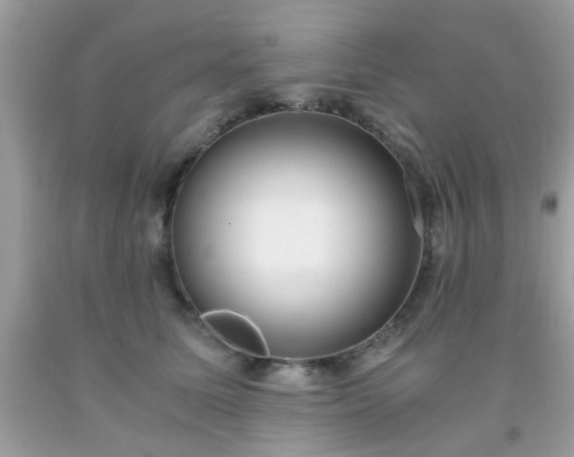 X0000093750611200710231233