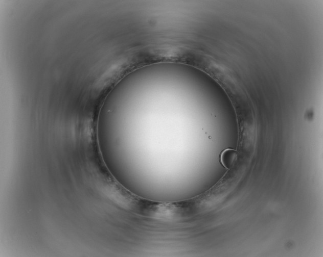 X0000093750612200710231233