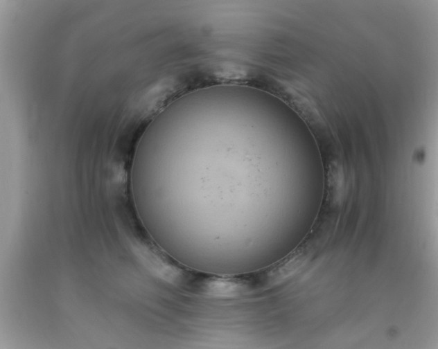 X0000093750614200710231233