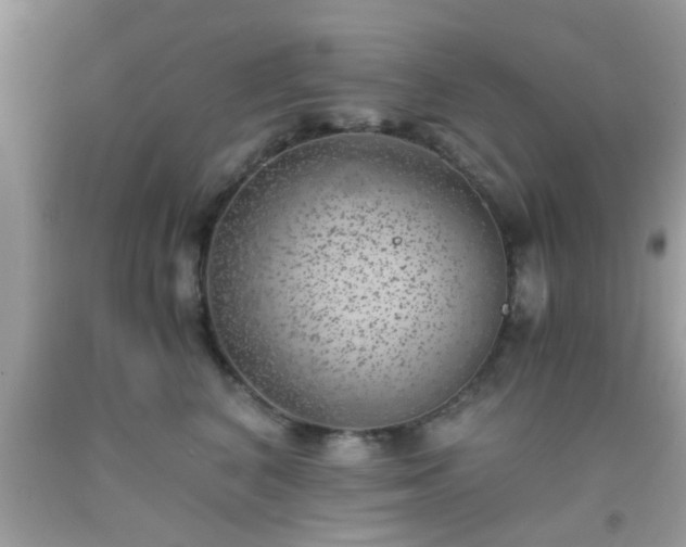 X0000093750616200710231233
