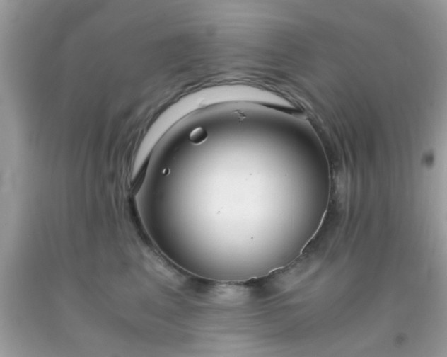 X0000093750617200710231233