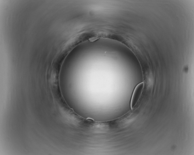 X0000093750619200710231233