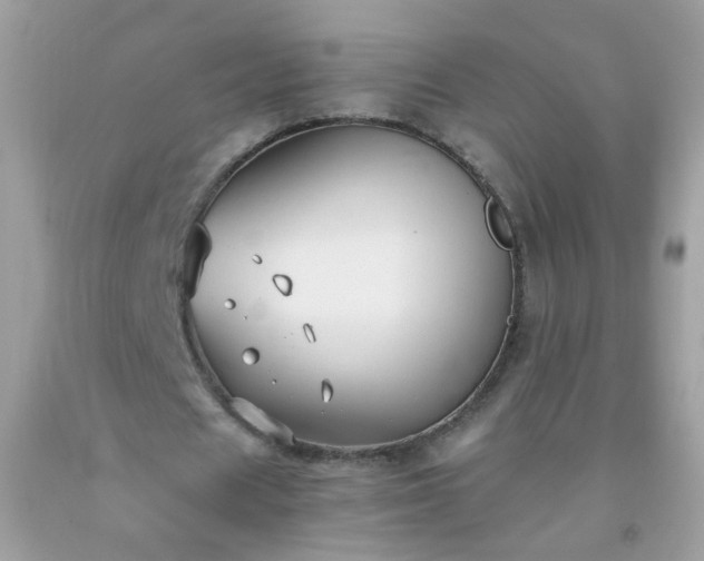 X0000093750625200710231233