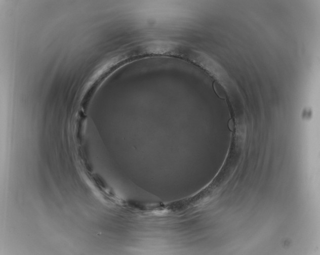 X0000093750626200710231233