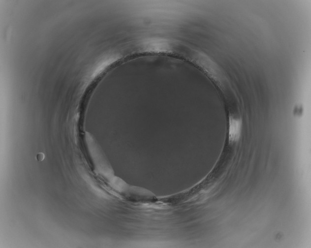X0000093750627200710231233
