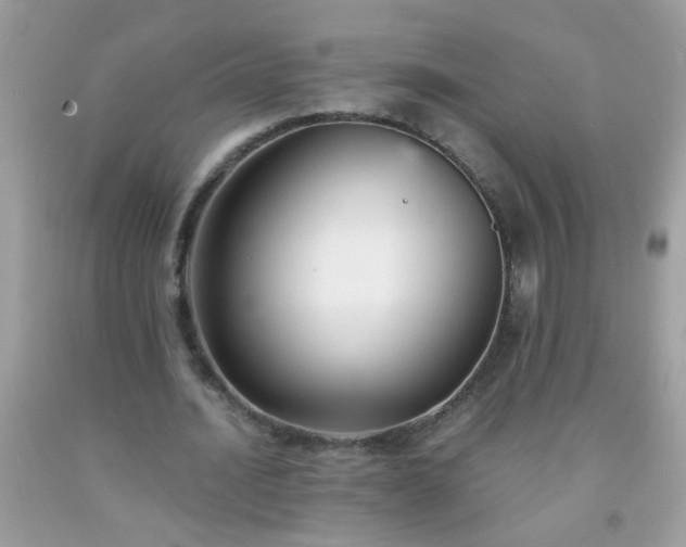 X0000093750628200710231233