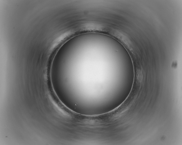 X0000093750629200710231233