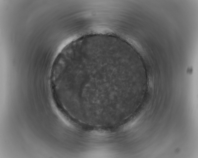 X0000093750630200710231233