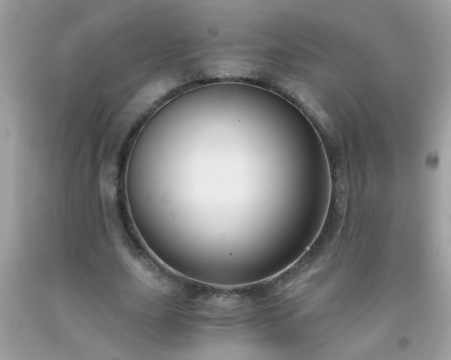 X0000093750631200710231233