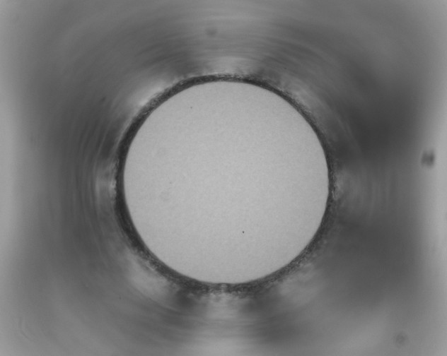 X0000093750632200710231233