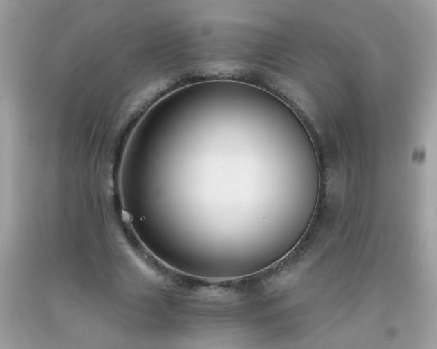 X0000093750633200710231233