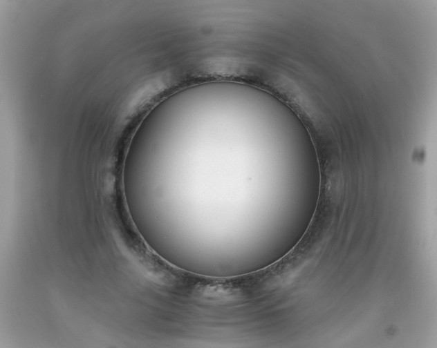 X0000093750635200710231233