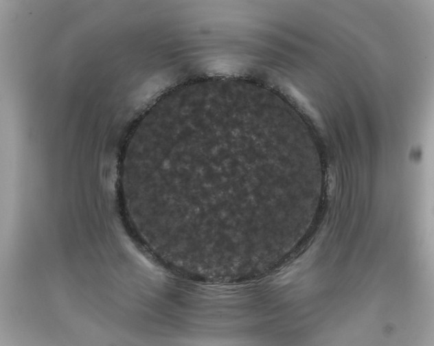 X0000093750637200710231233