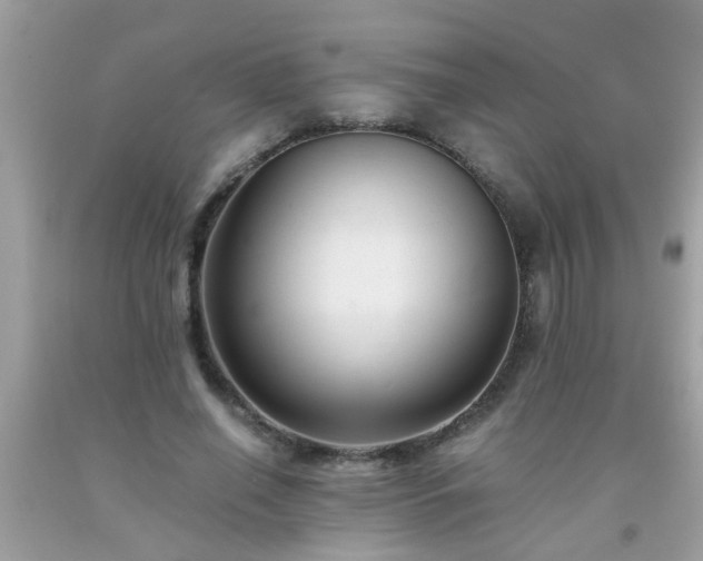 X0000093750638200710231233
