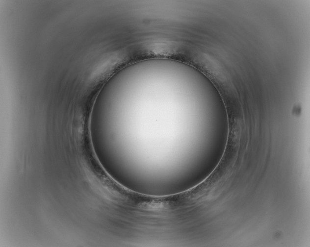 X0000093750639200710231233