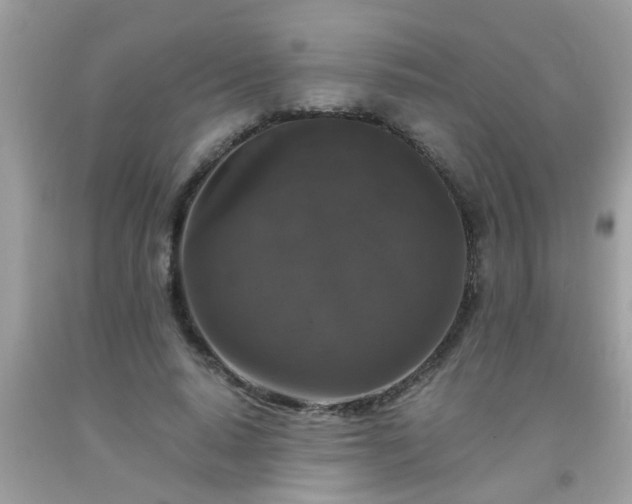 X0000093750640200710231233