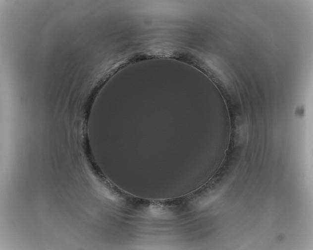 X0000093750641200710231233