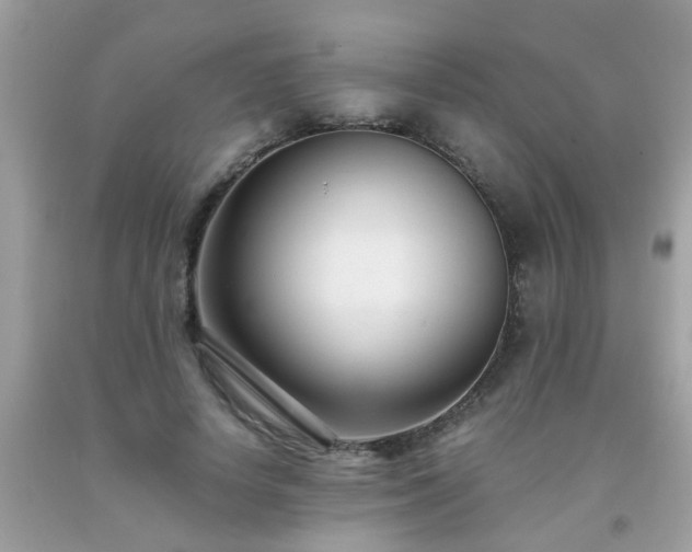 X0000093750642200710231233
