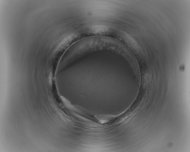 X0000093750644200710231233