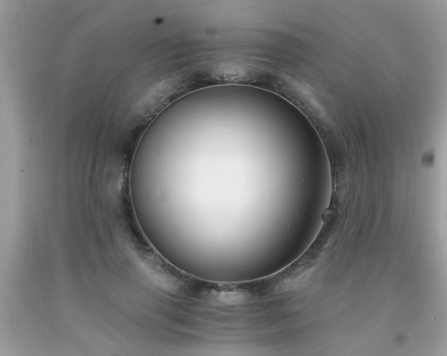 X0000093750645200710231233