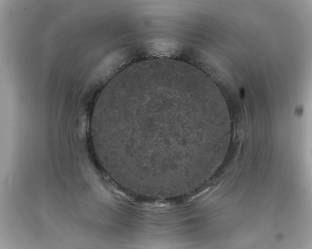 X0000093750647200710231233