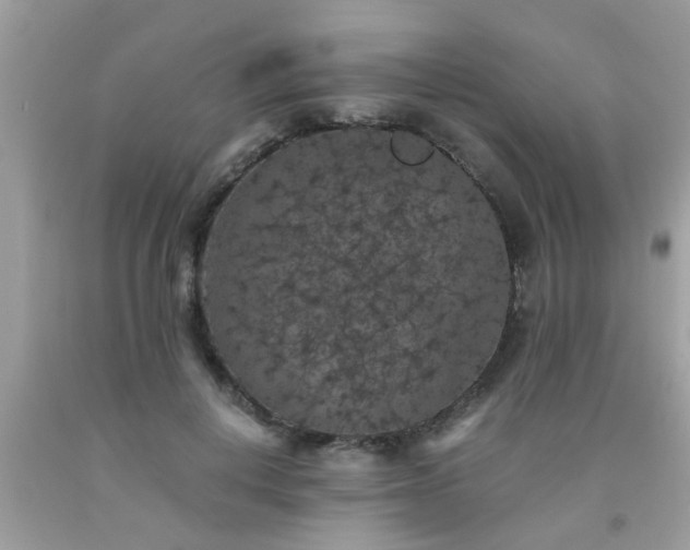 X0000093750648200710231233