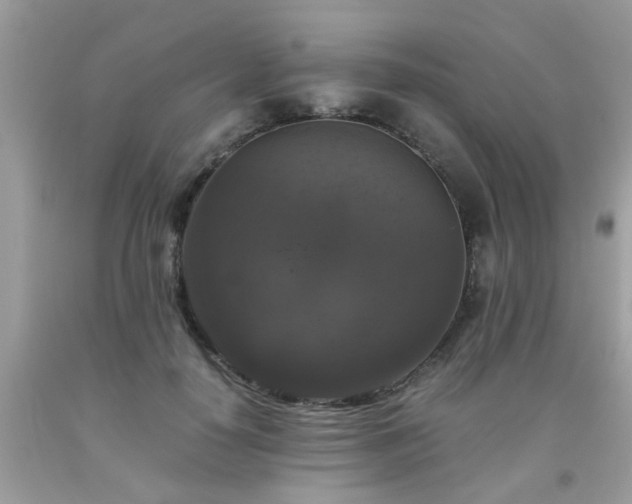 X0000093750650200710231233