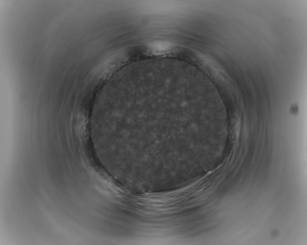X0000093750653200710231233