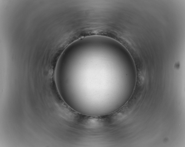 X0000093750657200710231233