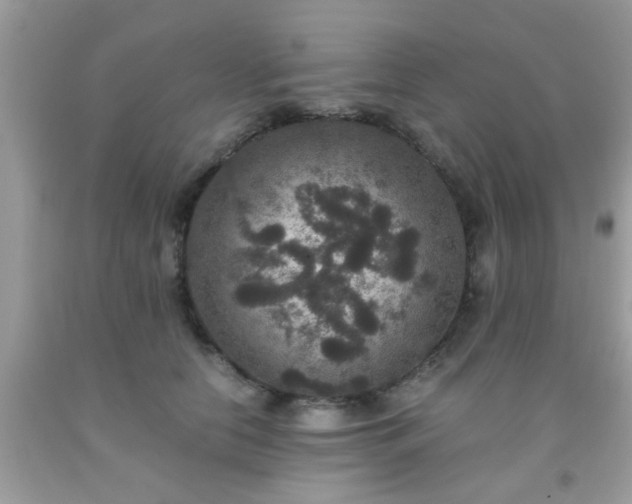 X0000093750658200710231233