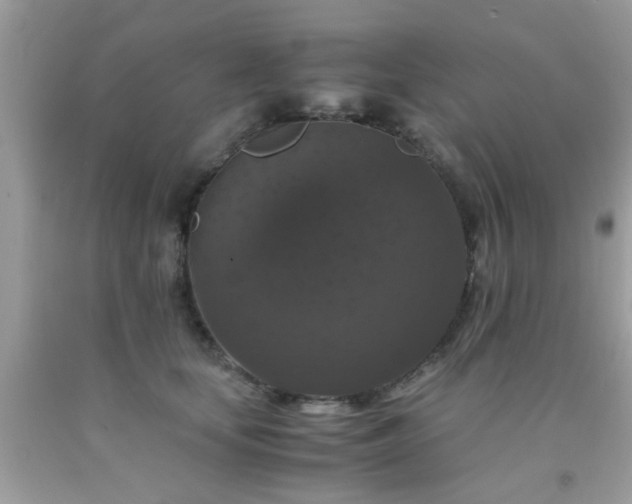 X0000093750659200710231233