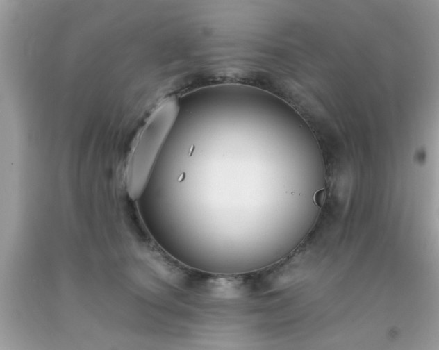 X0000093750660200710231233